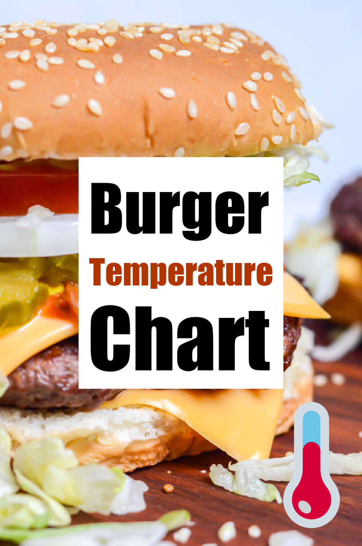 hamburger temperature